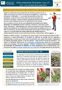 NEWSLETTER AMBROISIE 