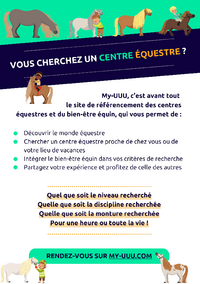 MY-UUU SERVICE POUR DES CENTRES EQUESTRES