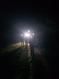 marche Le Jour de la Nuit